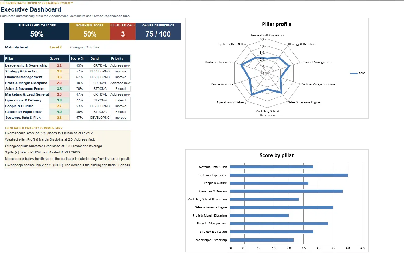 Sample BraunTrack Business Baseline dashboard